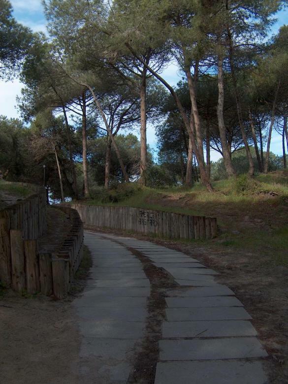 Regina Apartments Alghero Kültér fotó