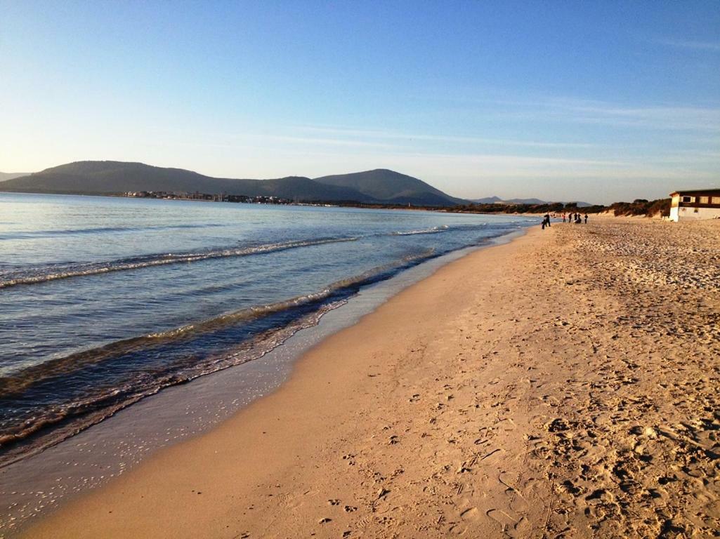 Regina Apartments Alghero Kültér fotó