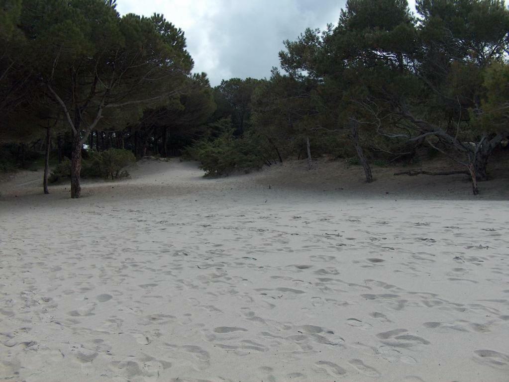 Regina Apartments Alghero Kültér fotó